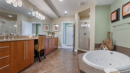 Master Bath Jacuzzi Tub